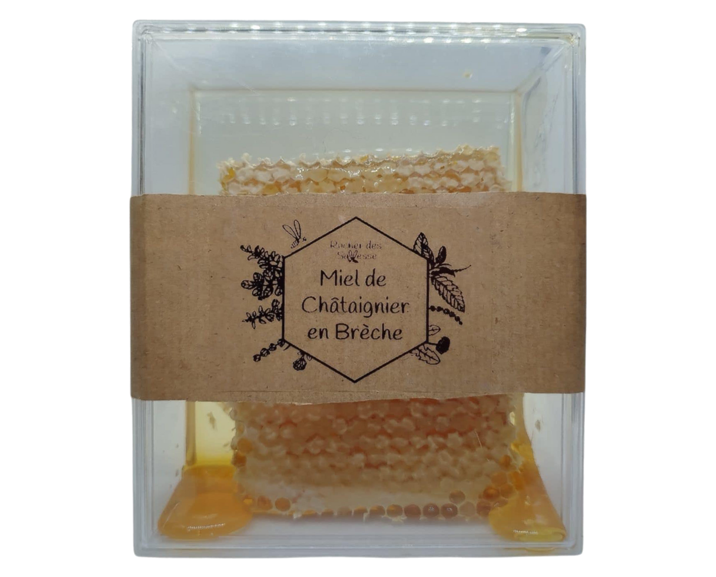 Brèche Miel de Châtaignier