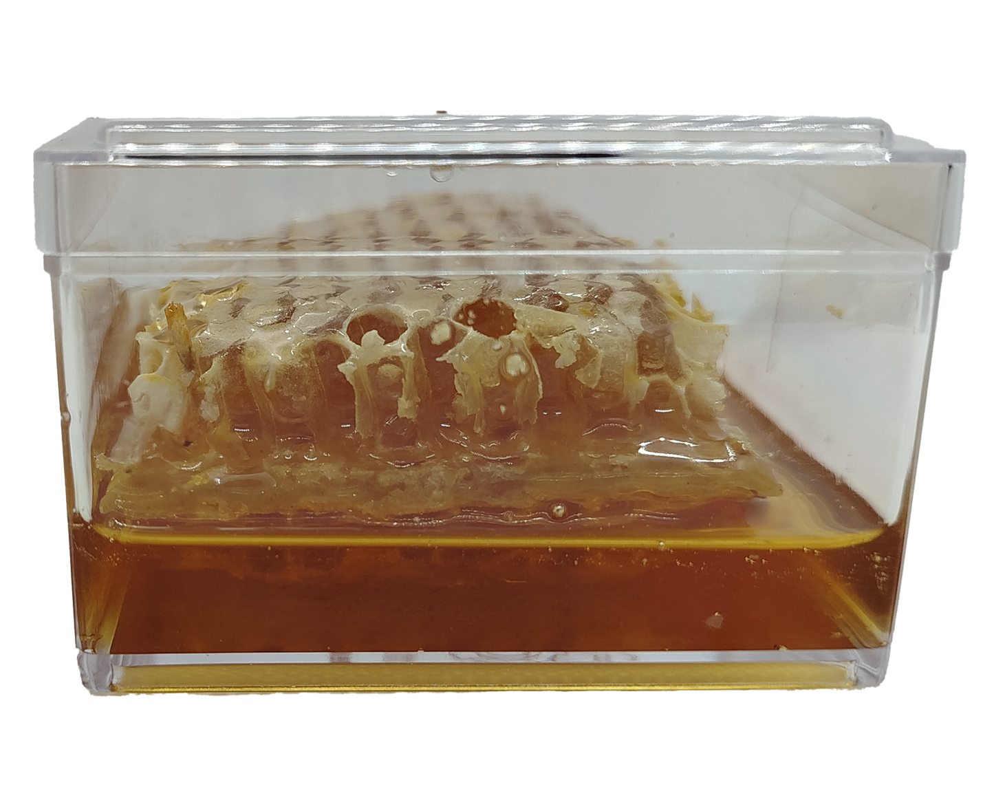 Brèche Miel de Châtaignier