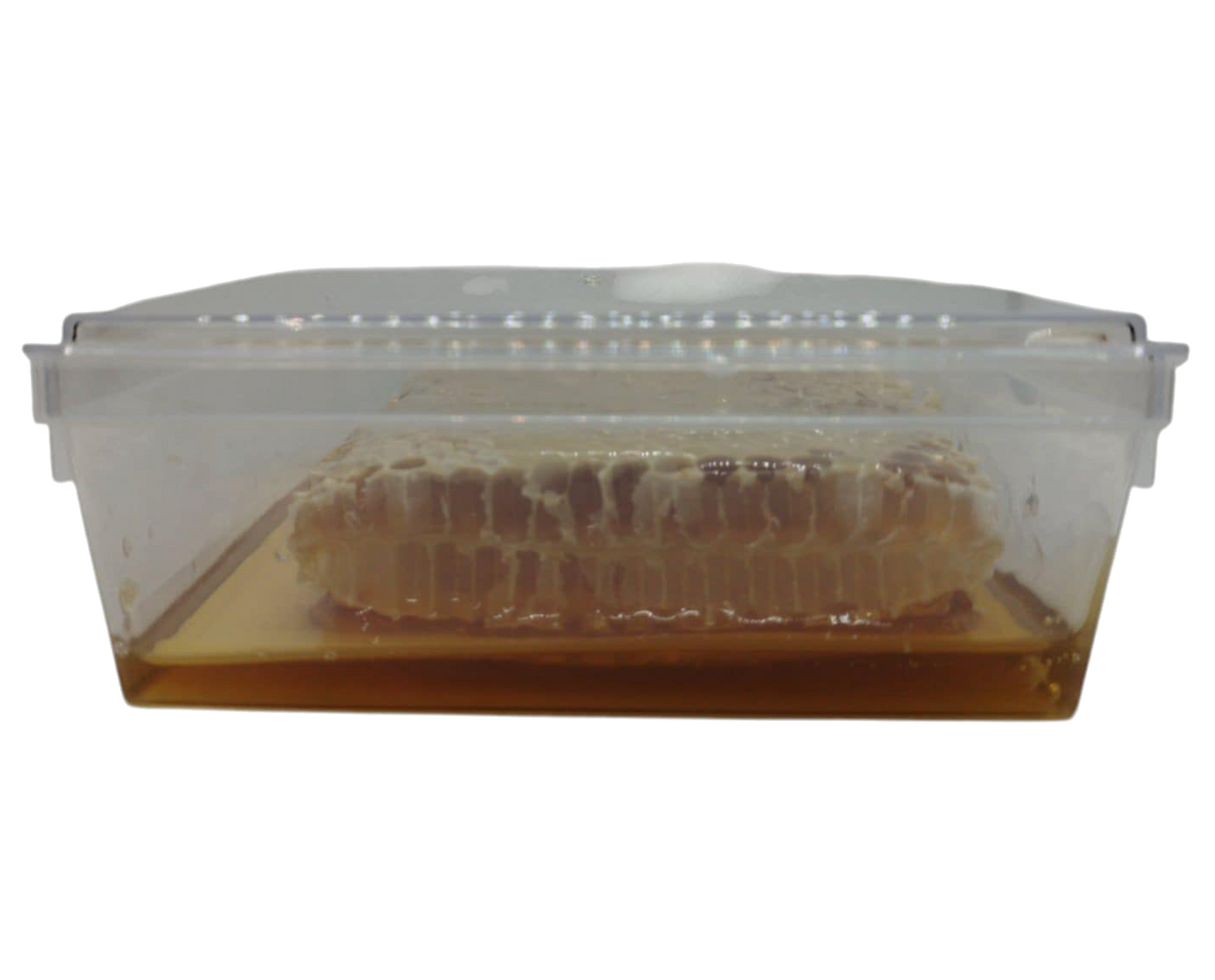 Brèche Miel de Châtaignier