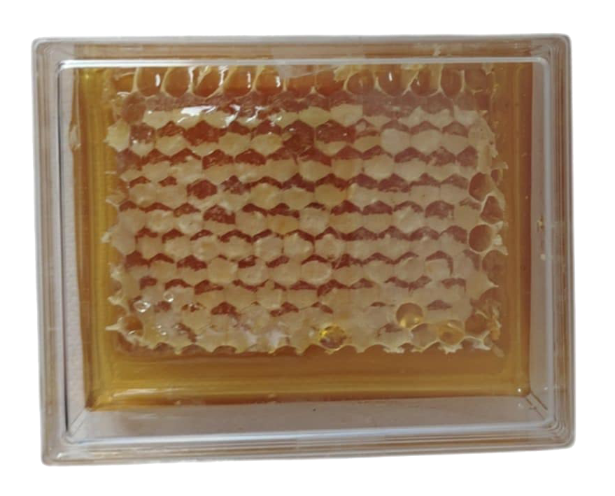 Brèche Miel de Châtaignier