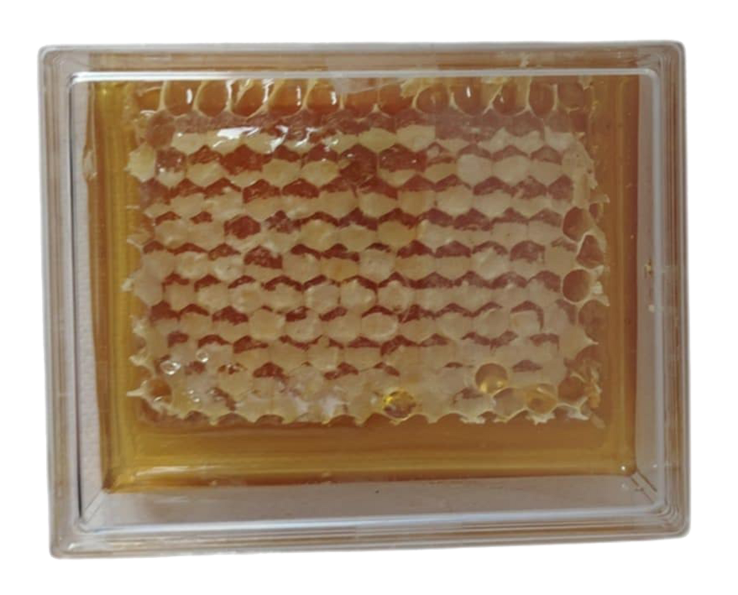 Brèche Miel de Châtaignier