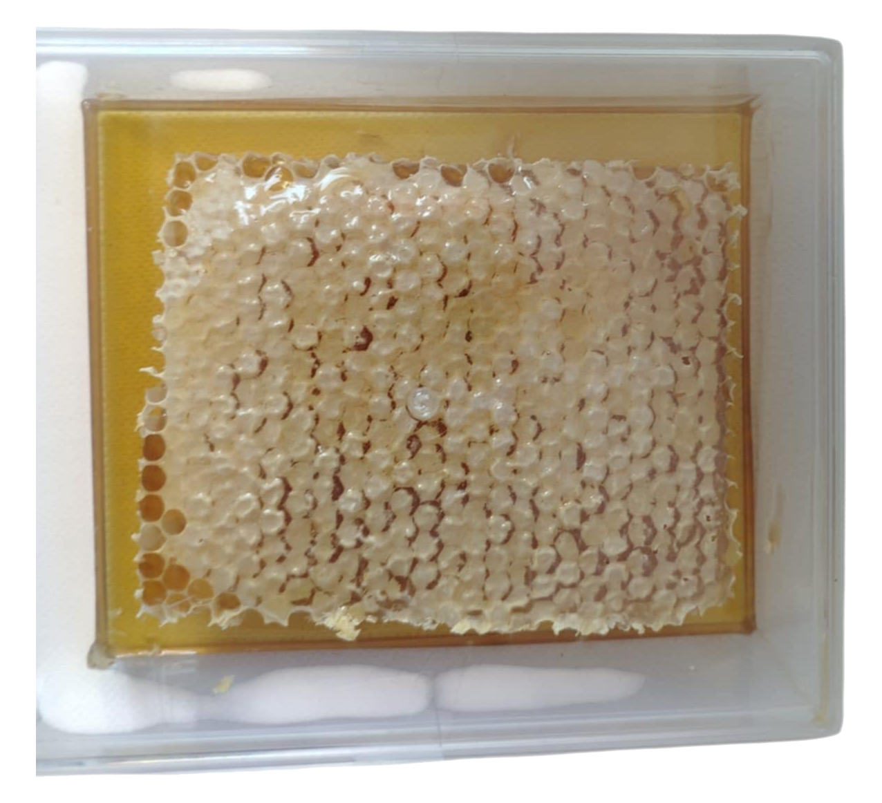 Brèche Miel de Châtaignier
