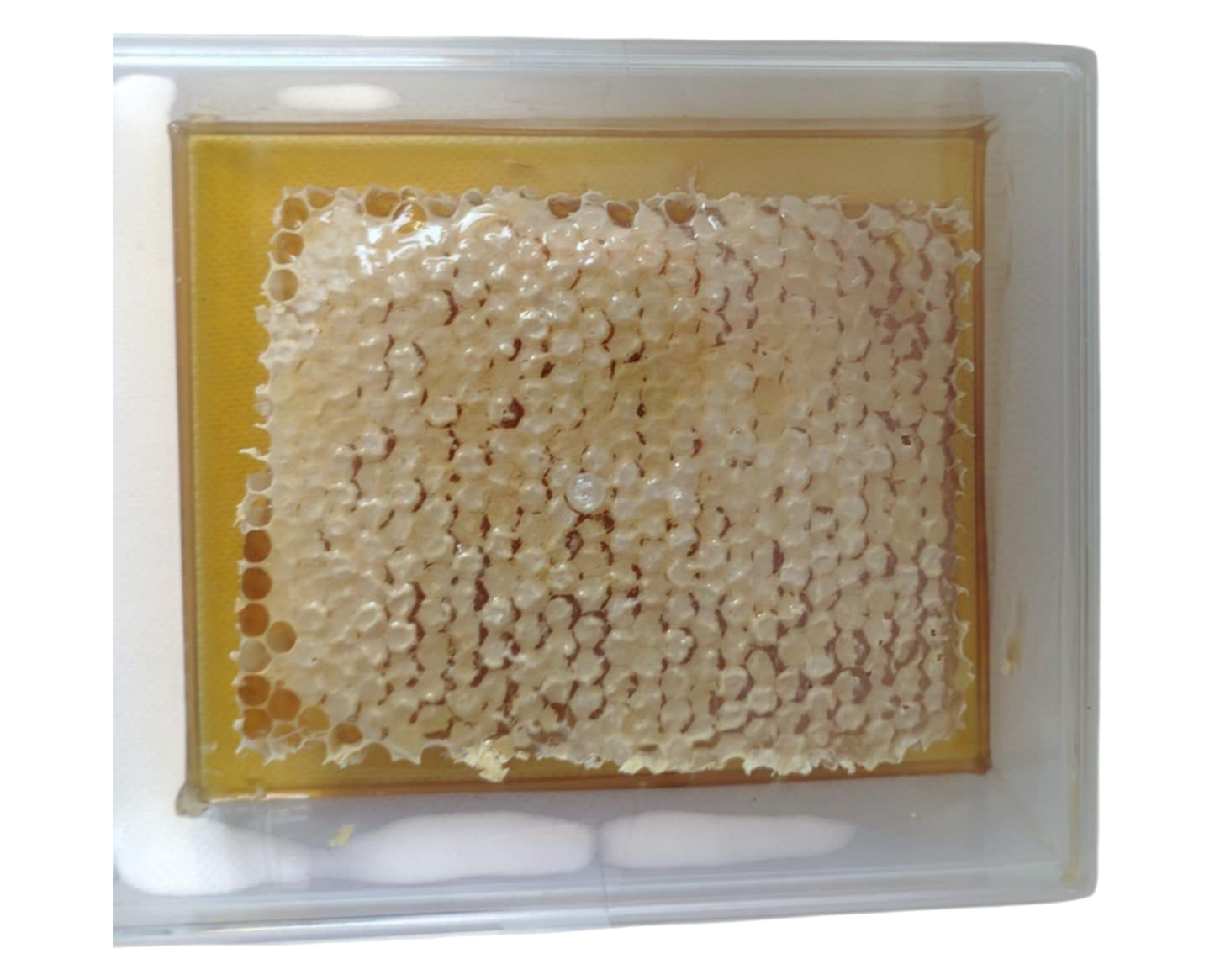 Brèche Miel de Châtaignier